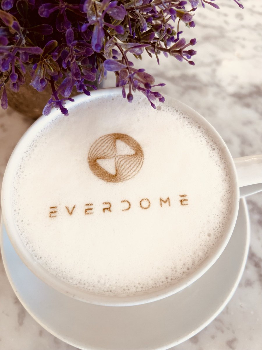 BallySinghAioka's tweet photo. Good morning @Everdome_io @Rob_Gryn let’s make it happen 🚀🚀 https://t.co/JGFSCWOv4c