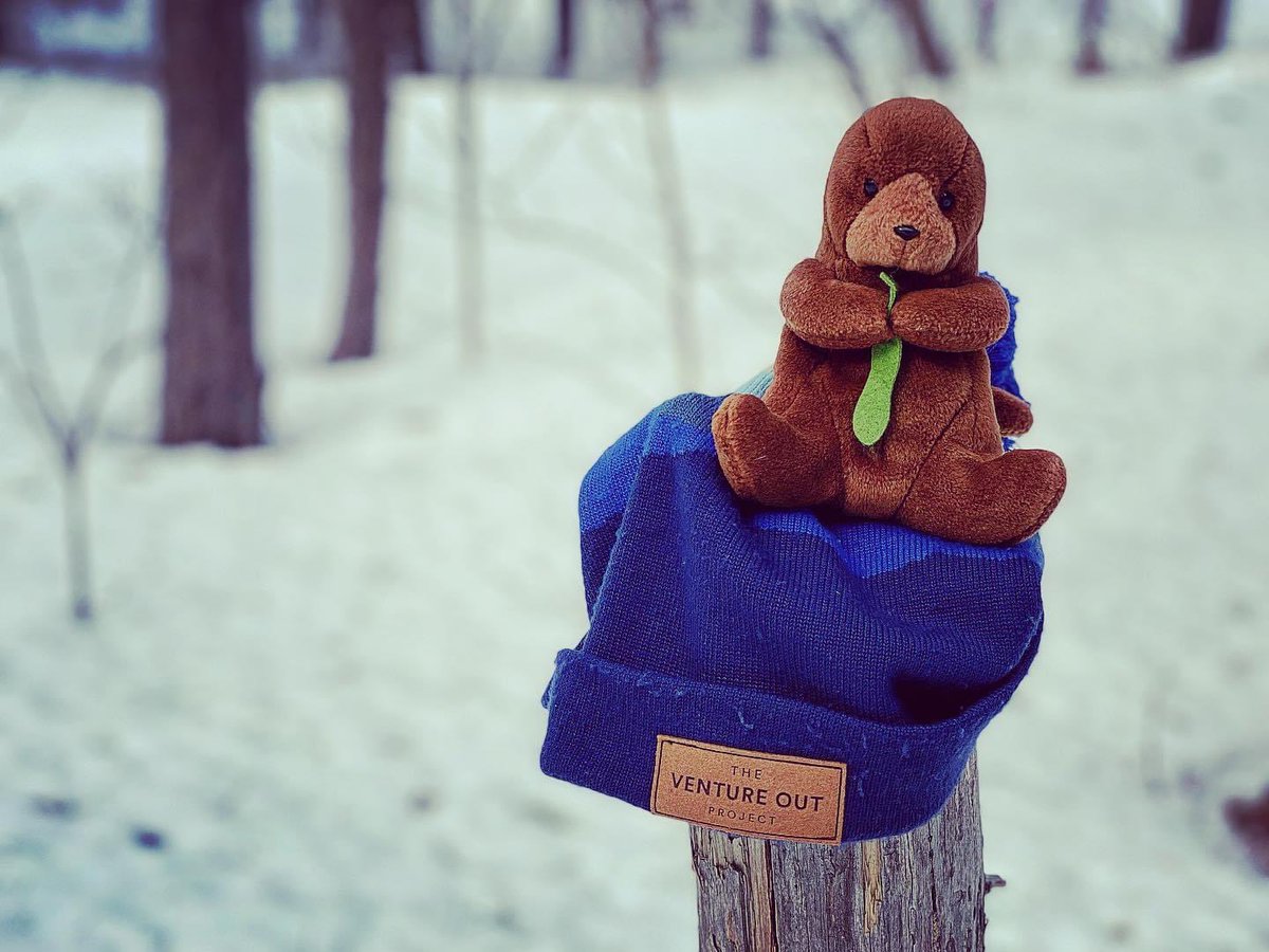 EnterRaiden's tweet photo. #WinterHiking ๐ฅพโ๏ธ warms my soul, and of course #PocketsTheOtter๐ฆฆ joined @Social4Sarah and I for the #Adventure. #OptOutside ๐ฒ#RewildYourMind #GetOutdoors #NewHampshireMountains ๐@VentureOut_ @Carhartt #NorthboundGear https://t.co/Ks8Nnn33RR