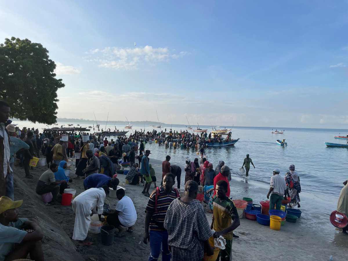 SmallFishFood's tweet photo. Finally back in the field as part of the @noradno funded project #Samaki @UiB @SDGbergen @Havforskningen @MARAresearch https://t.co/lM8kIpou3g