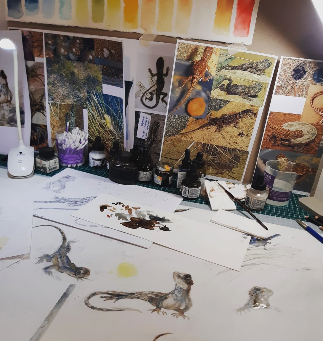 National Centre ACL tweet media