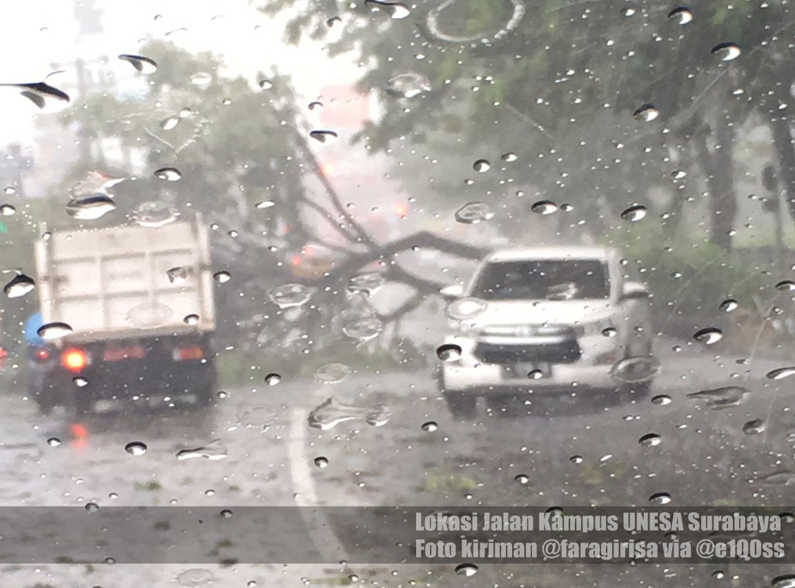 e100ss's tweet photo. 12.04: Ada pohon tumbang di jalur UNESA arah Babatan, di dekat parkir PTC Lontar, dan di jalan Yono Soewoyo. Cuaca hujan deras. Info sudah diteruskan ke petugas. (hm) https://t.co/ptmbNbjQID