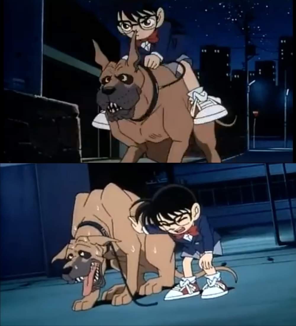 เหนื่อยเปนเพื่อนหมา255252552525525255525255525255255255255255555555556666 ฮือ กุ