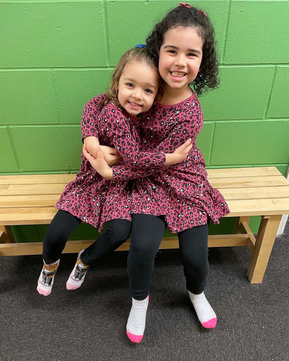StillAbi's tweet photo. My little beauts ❤️ https://t.co/vuRa96mJru