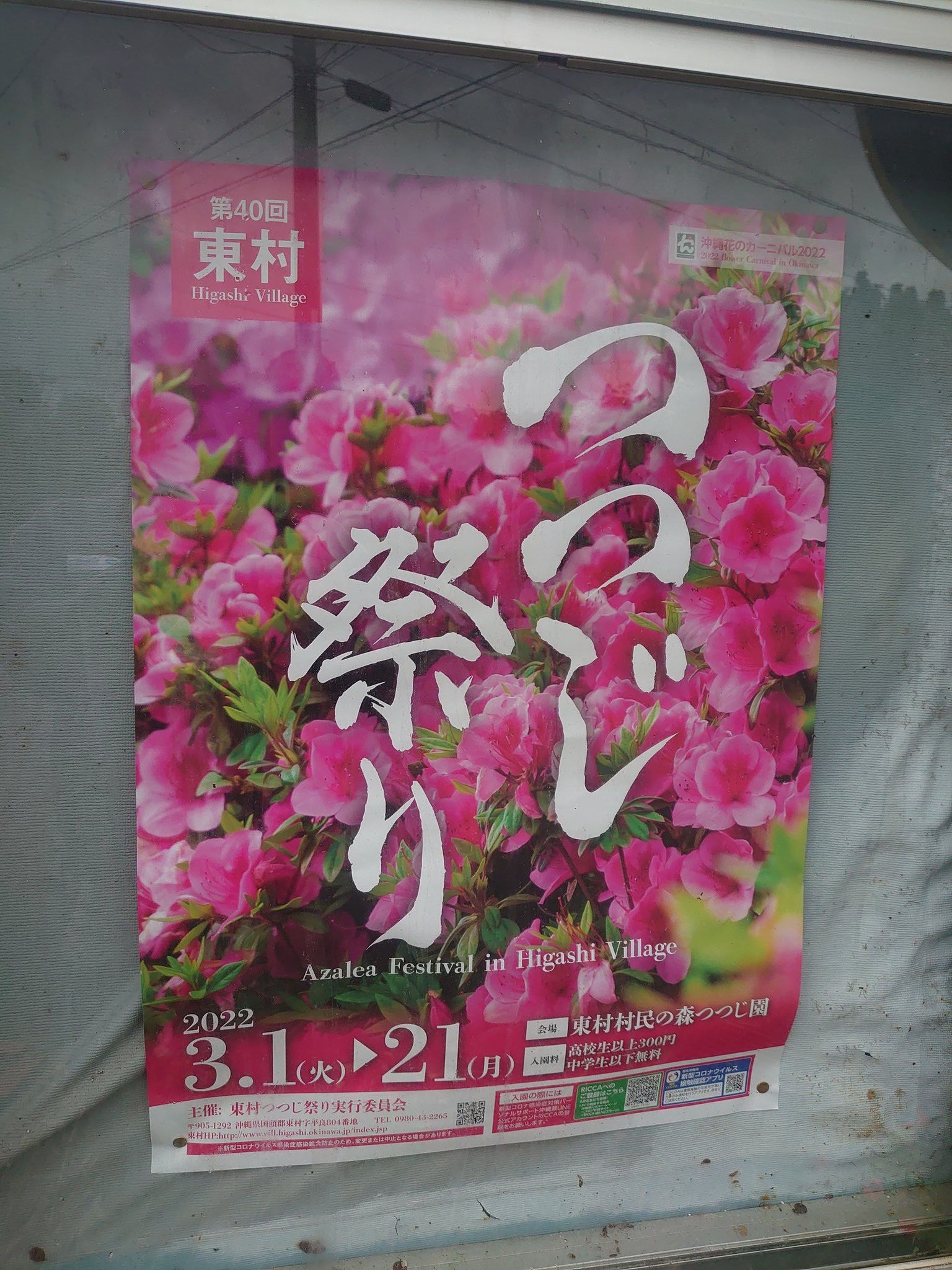 Okinawa Taiwan Tattoo およそ40年以上前に 沖縄県東村に滞在したアメリカの人類学者が撮影した写真が展示されるそうです T Co Xqpnsflcmb Twitter