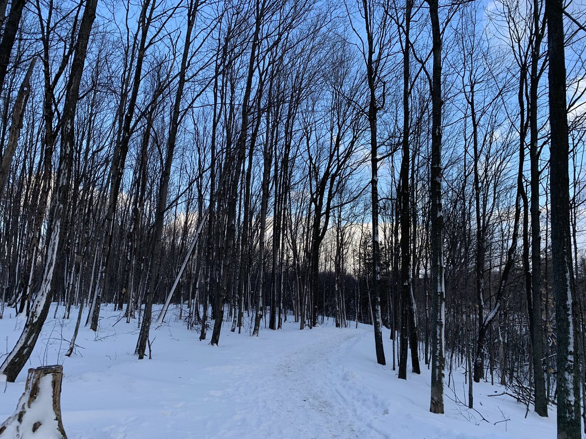 So grateful for a pup who gets me out and a trail to walk on! What a beautiful day, I felt like I was looking a painting (and of course, had to snap a pic!😉).
#getoutside #wellness #winterwonderland #ygk