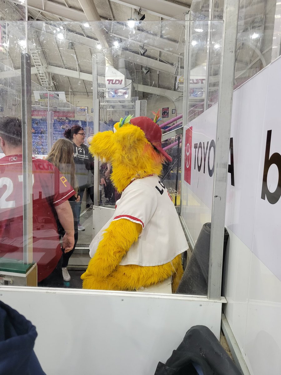 BigEdSheets's tweet photo. Our special guest tonight @party_with_loco reminds me we're one day closer to @AltoonaCurve Opening Day! #GoCurve https://t.co/v5anzxSInh