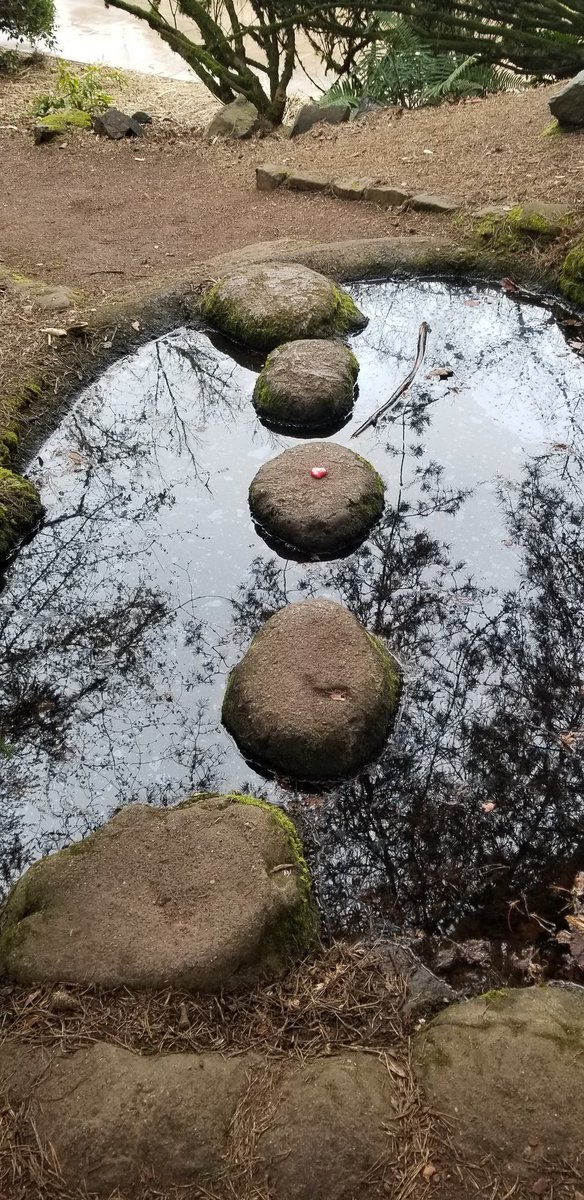 BeaverMonkey253's tweet photo. Been shining the north side of town. #monkeyshines2022 #beavermonkey253 https://t.co/eDb17OUYBs