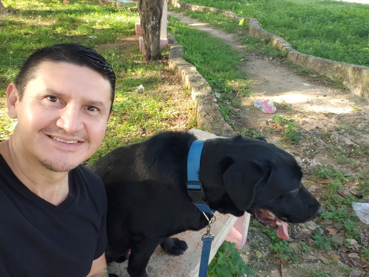 qfbfilo's tweet photo. Sábado de caminata con mi mejor amigo canino #Cyron #Labrador #SadarwenLabs https://t.co/SCDbus709F