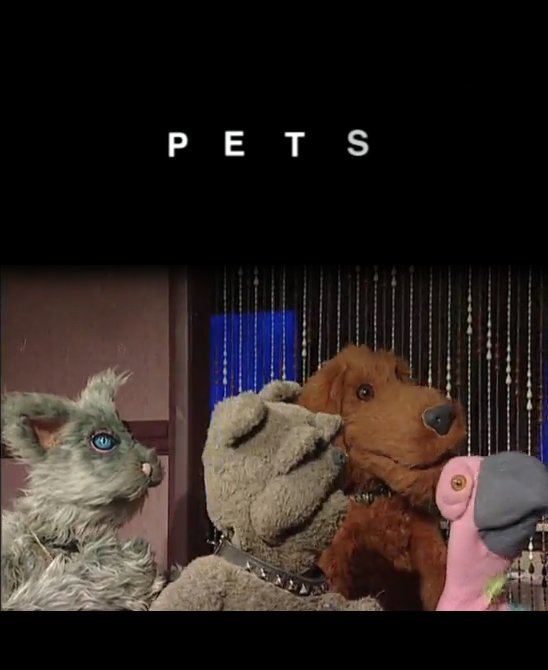 Pet series. Pet TV. Робоцып ( TV Series 2001 - 2022) - LMDB benecme. Тедди Pet story.