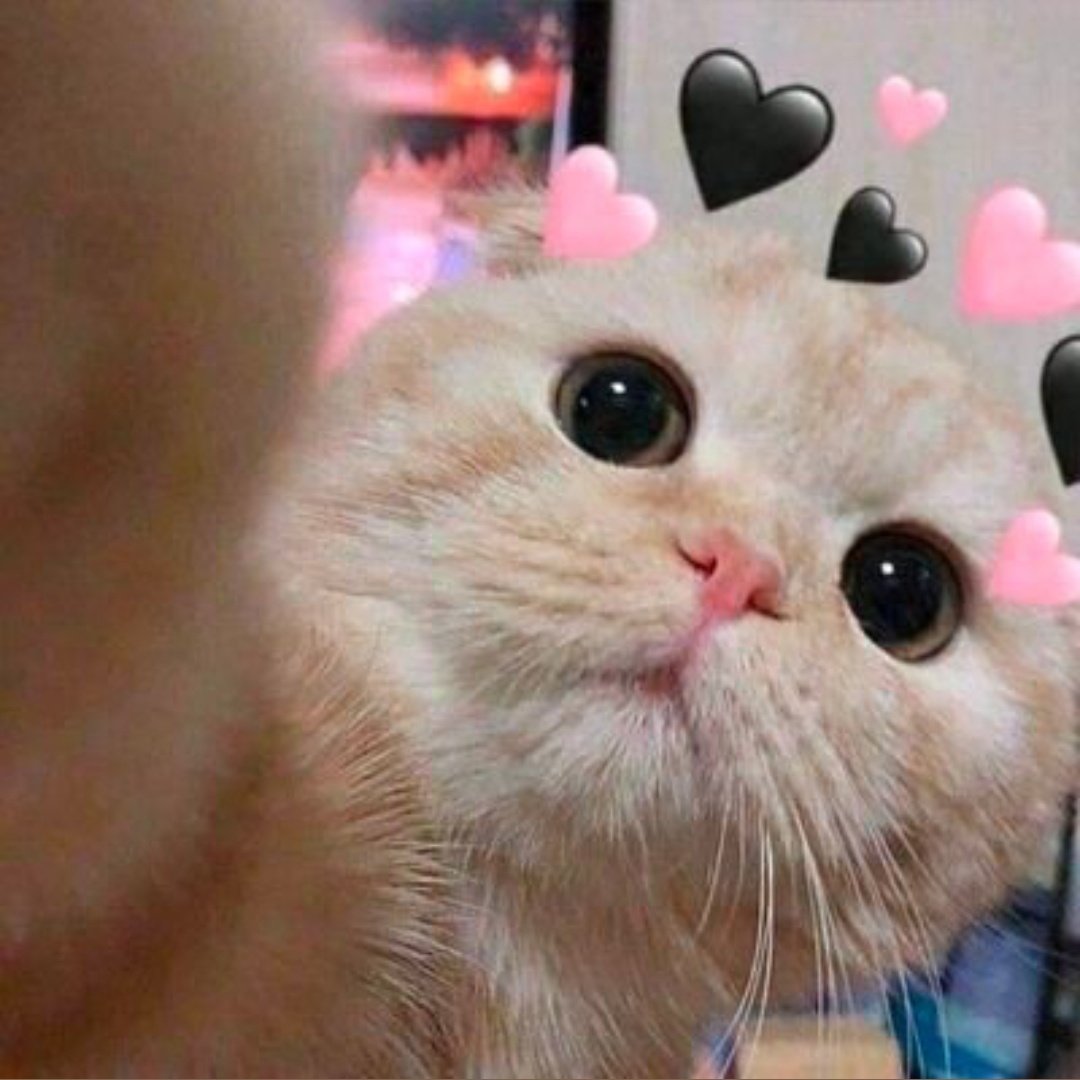 _ve_xo_'s tweet photo. #NewProfilePic https://t.co/vCgKZ5XFNN