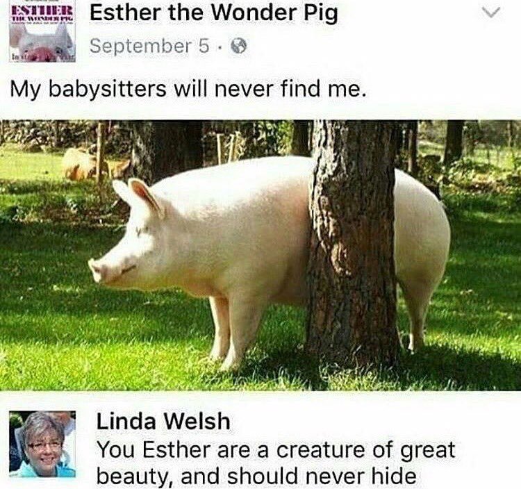hangsawoman's tweet photo. thinking about this https://t.co/JOZgJutYgE