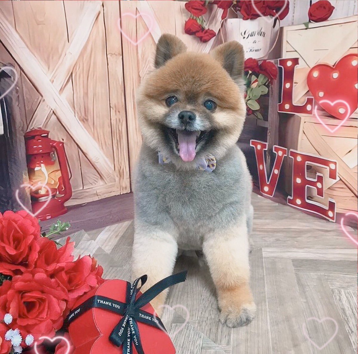 今日お昼12時に解禁あります📢
まだ他にも来月はイベント予定あるけど、それが私の最後の担当イベントです。
いまRATは人数制限を設けているので、来てほしい人みんなに…てわけにはいかないかもだけど、知っててほしいです。
私がずっと大事にしてたイベントタイトルを最後に冠しました◎