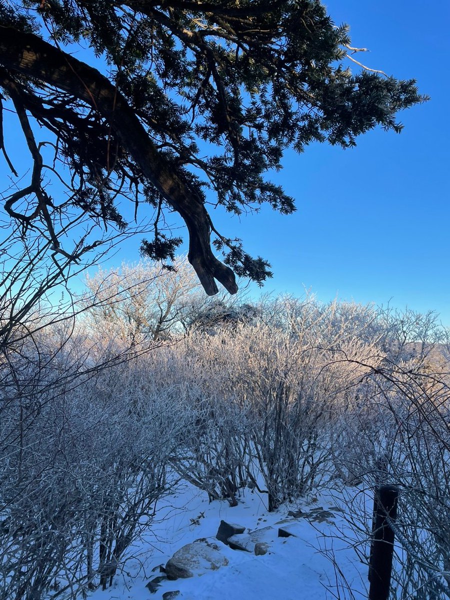 태백산 

상고대 ❤️겨울 등산 ❤️