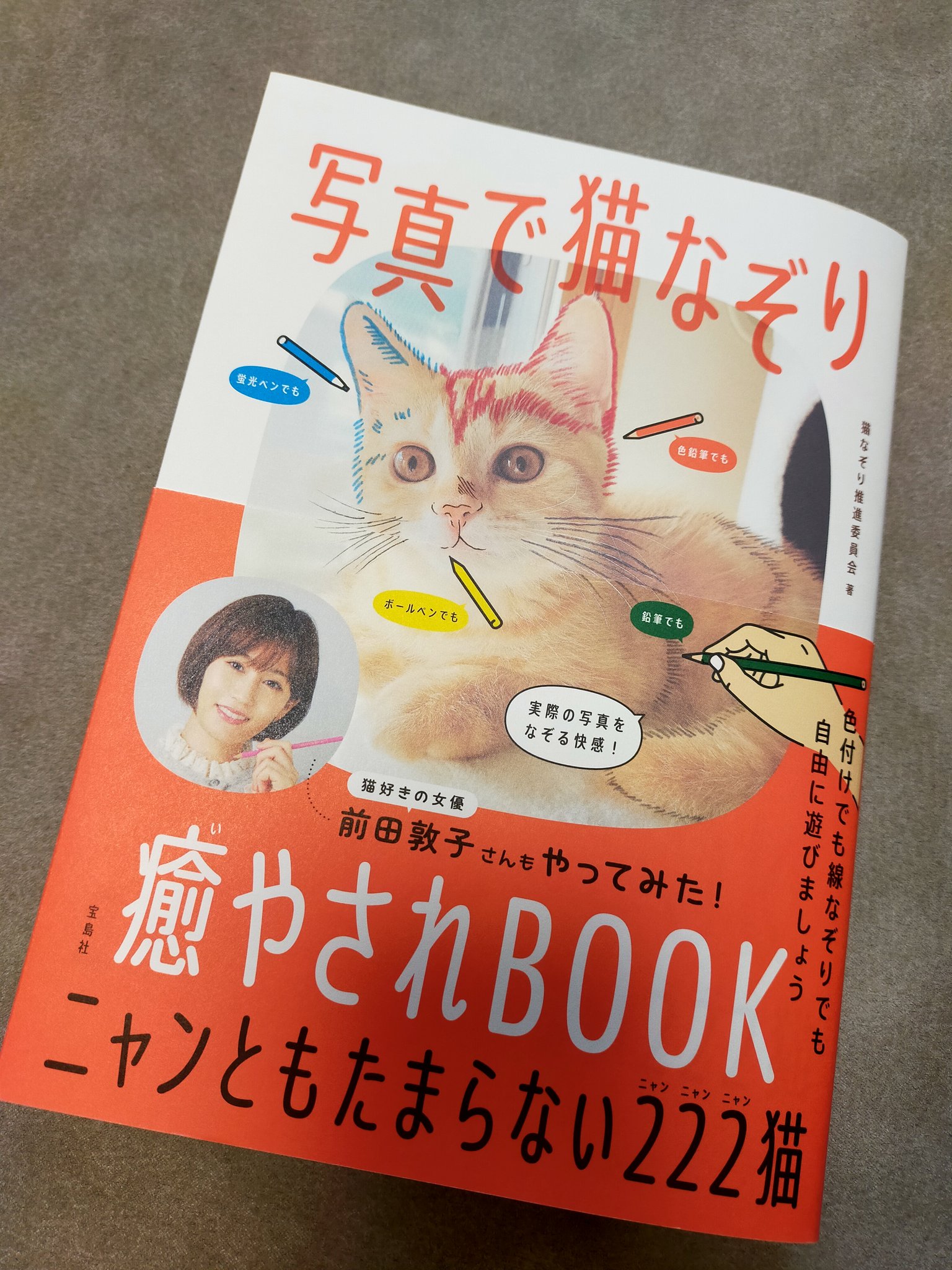 写真で猫なぞり 癒やされbook 2 19発売 Nekonazori Twitter