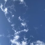 ツイートに含まれる画像