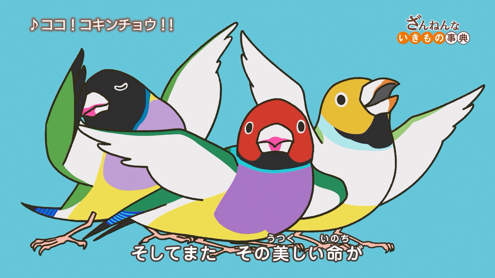 映画ざんねんないきもの事典 公式 Zannen Movie Twitter