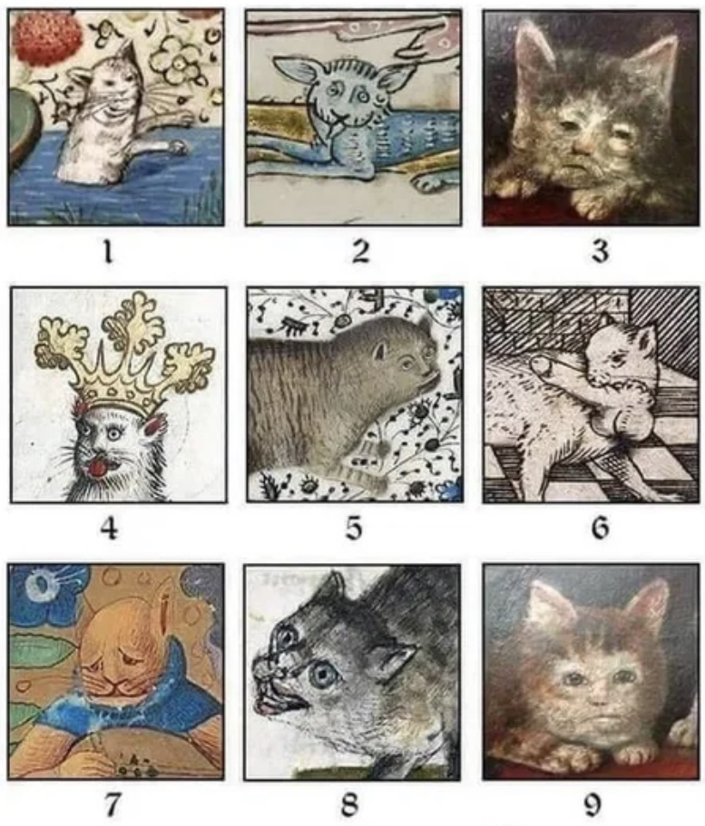 Dr. Longissimus tweet media