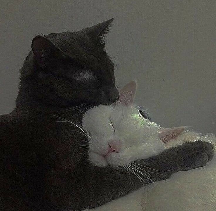 Morning, Mammie. 🤍