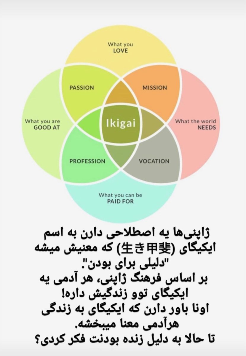 Bruce (@behrouz53885885) on Twitter photo 