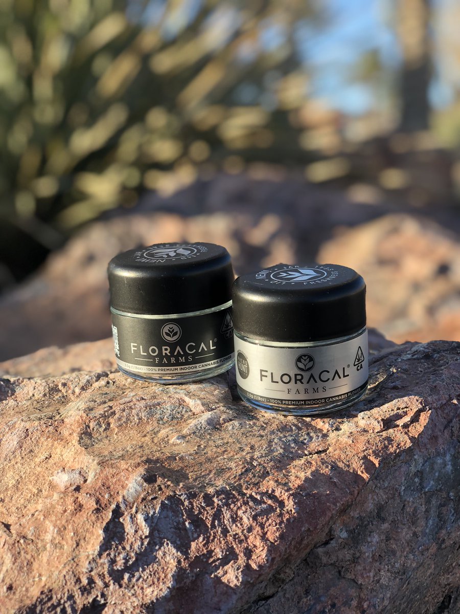 DesertsFinest_'s tweet photo. 100% Premium Indoor Flower by @floracalfarms is now in stock!

MACaroon #5 31%
Cereal Milk 27% 

Limited Edition #phenohunt 

#desertsfinest #deserthotsprings #floracalfarms #limitededition #instocknow✅ https://t.co/hmuo16L7Qm