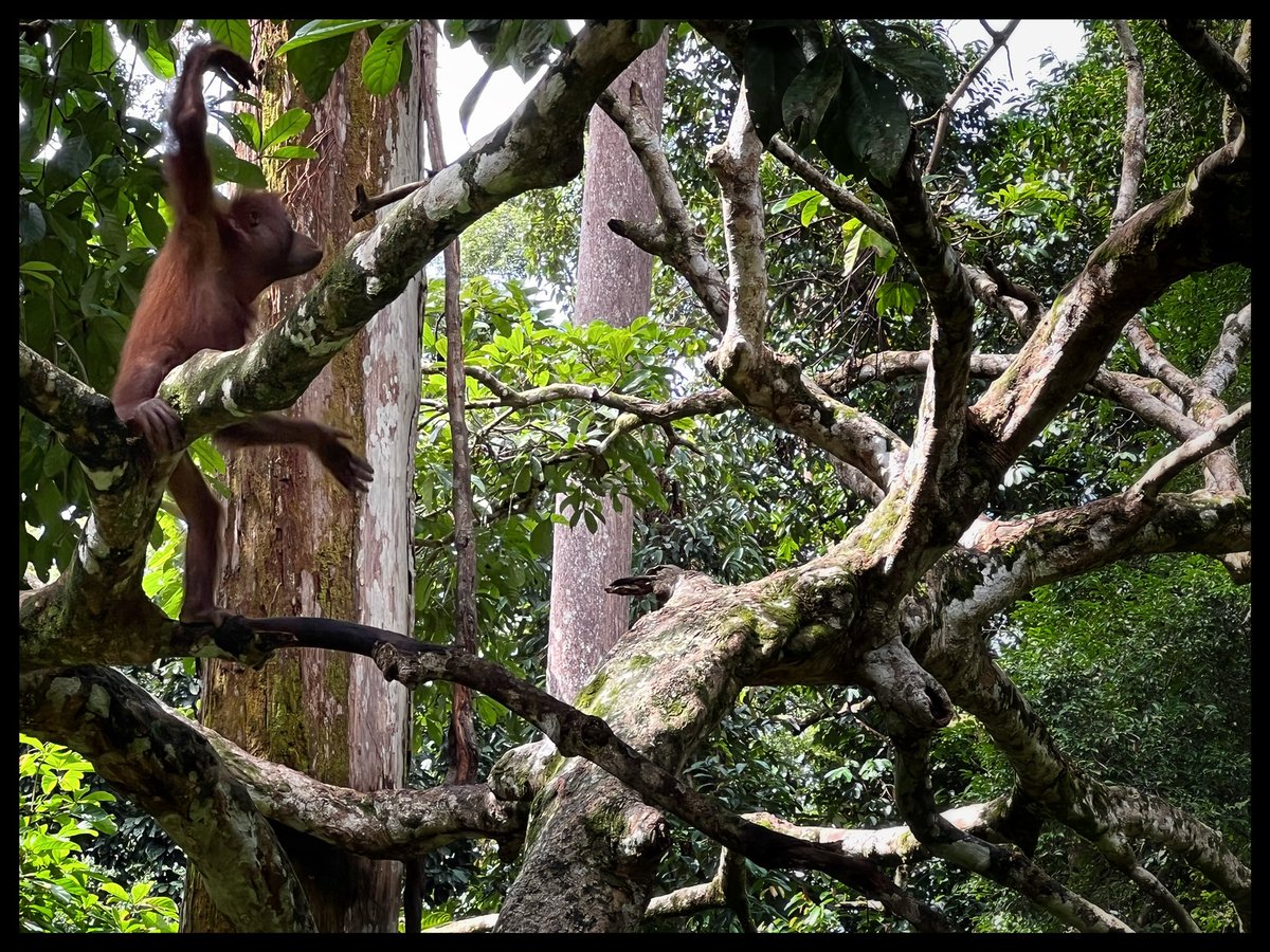 Met these guys today. I tried small chat but they were not keen on conversation and language seemed to be a barrier