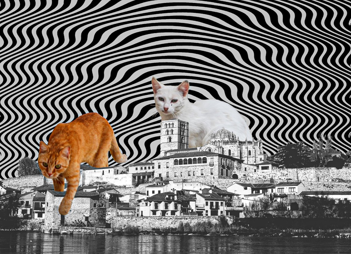 kaxmania's tweet image. 🐱"KatMania"
💎5 editions
💎0.5 #XTZ 
teia.art/objkt/678169
objkt.com/asset/hicetnun…
#objkt #tezos #CleanNFT #teia #NFTCommunity