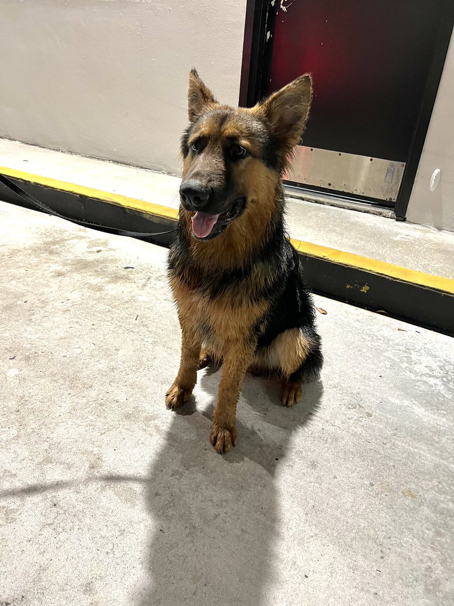 Miami Beach Police tweet media