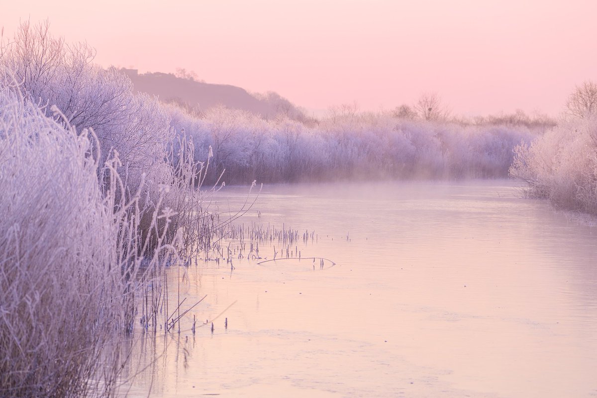 joowon77's tweet photo. Time when the whole world is dyed pink
온 세상이 핑크색으로 물든 시간

- Namyangju, South Korea, 2022

#KNFT #NFTforfreedom #SouthKorea #NFTCommunity #NFTartist #NFTphotography #NFTPhotographers https://t.co/NLabRSKGYc