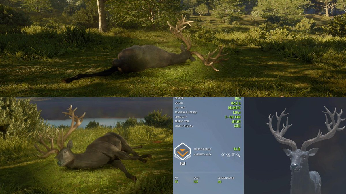 JacobCulver15's tweet photo. And my 2nd melanistic Red!! https://t.co/buCFiGztHy