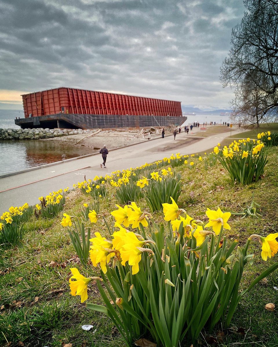 Mark Atomos Pilon tweet media