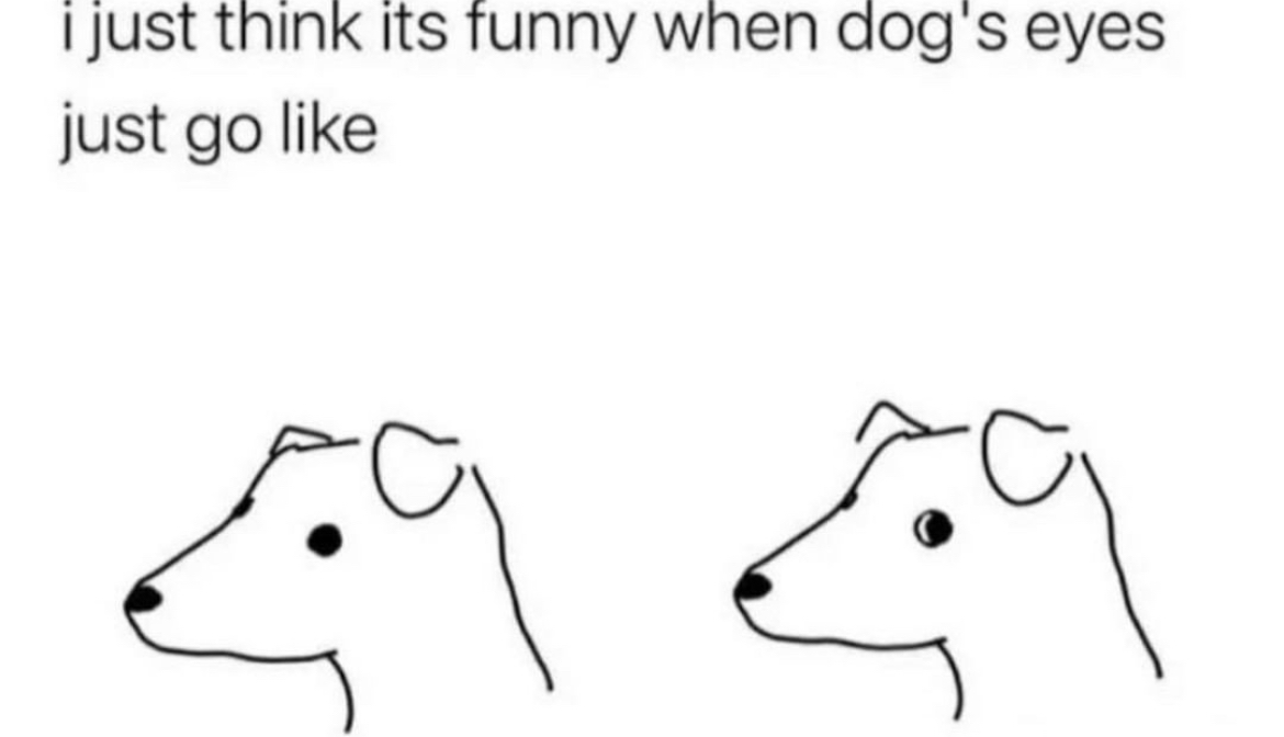 Respectful Memes tweet media