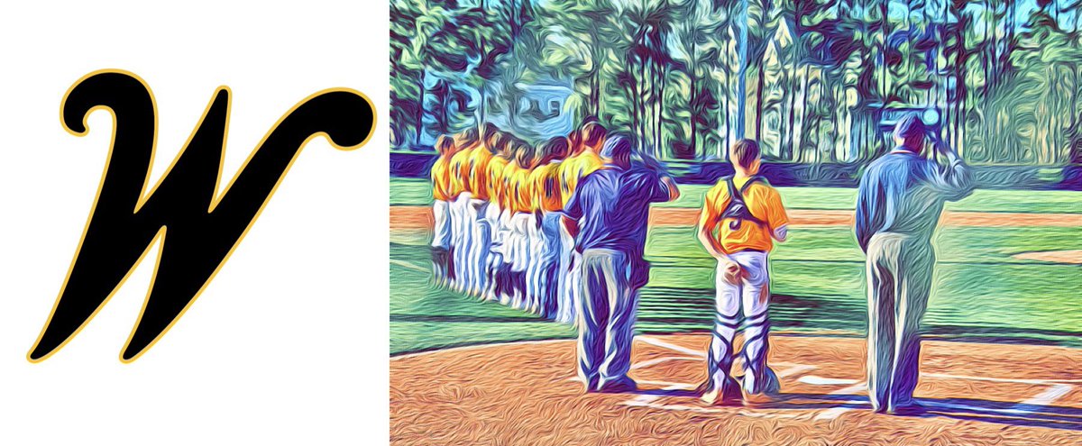 Richmond Hill Wildcat Baseball tweet media
