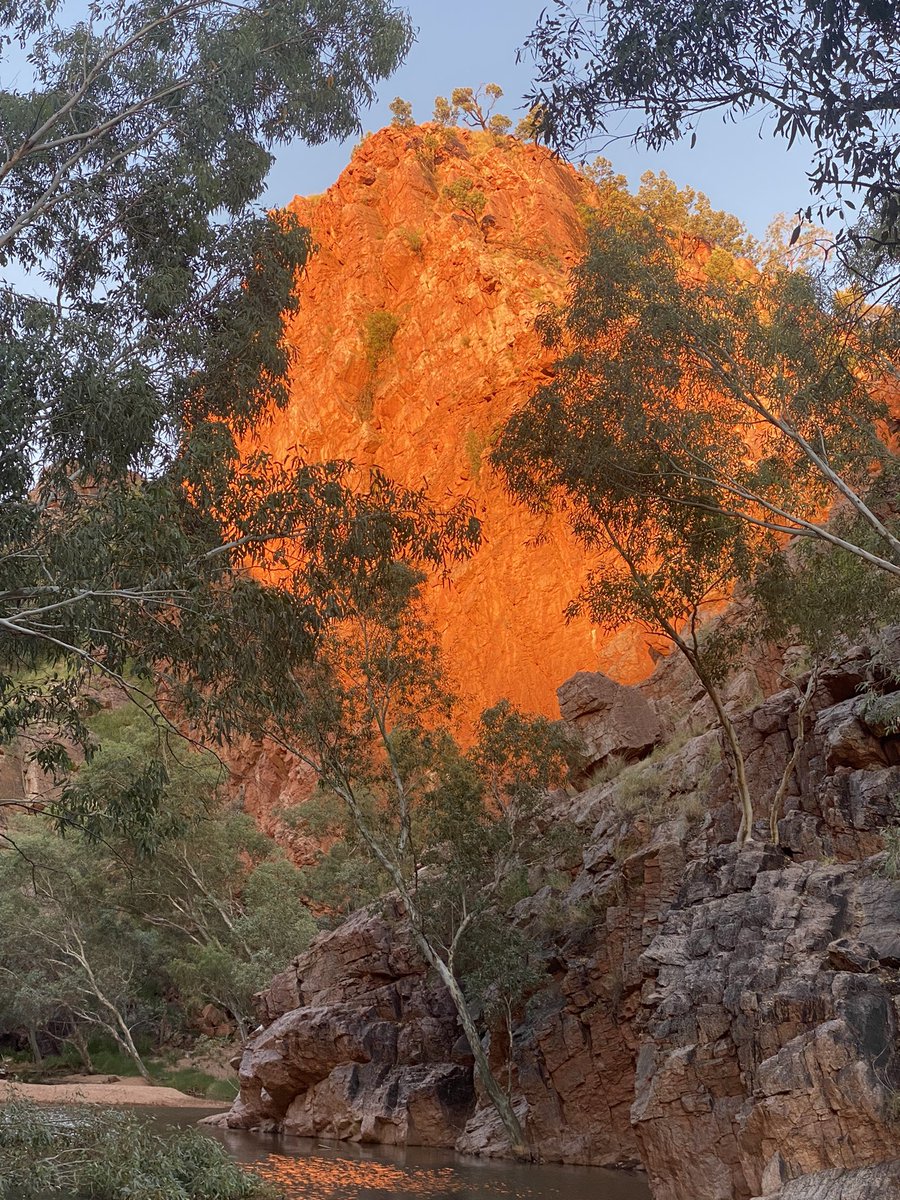 coolibah7's tweet photo. Golden hour! #Anthwerrke
#alicesprings #Arrerntecountry https://t.co/sKfiSa4hdb
