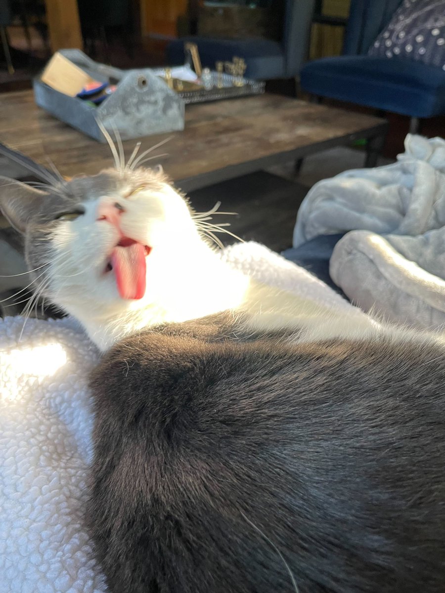 Mayim Bialik tweet media