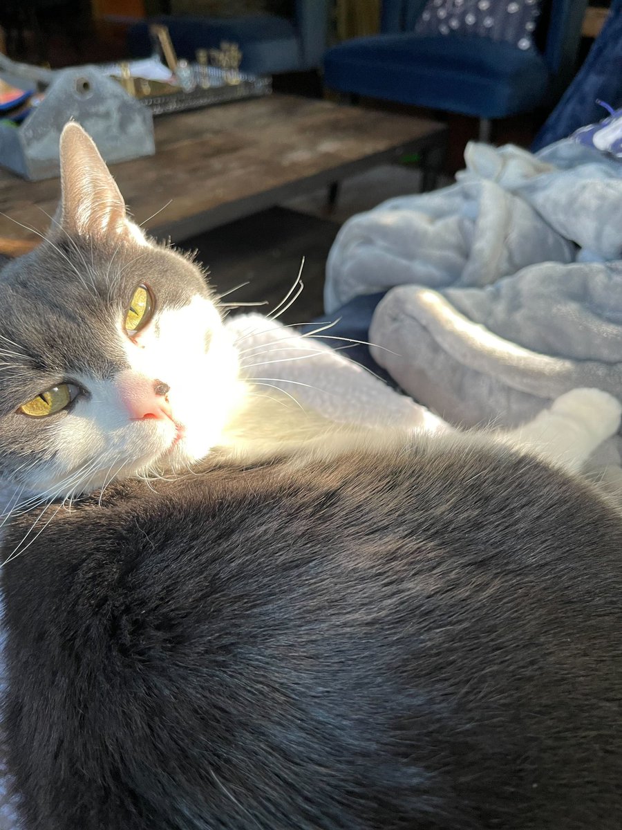 Mayim Bialik tweet media