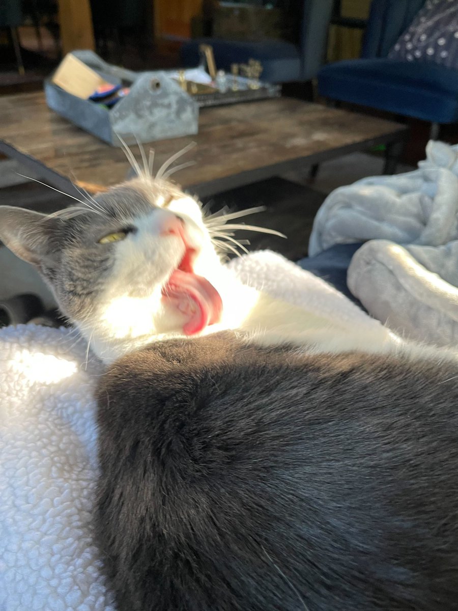 Mayim Bialik tweet media