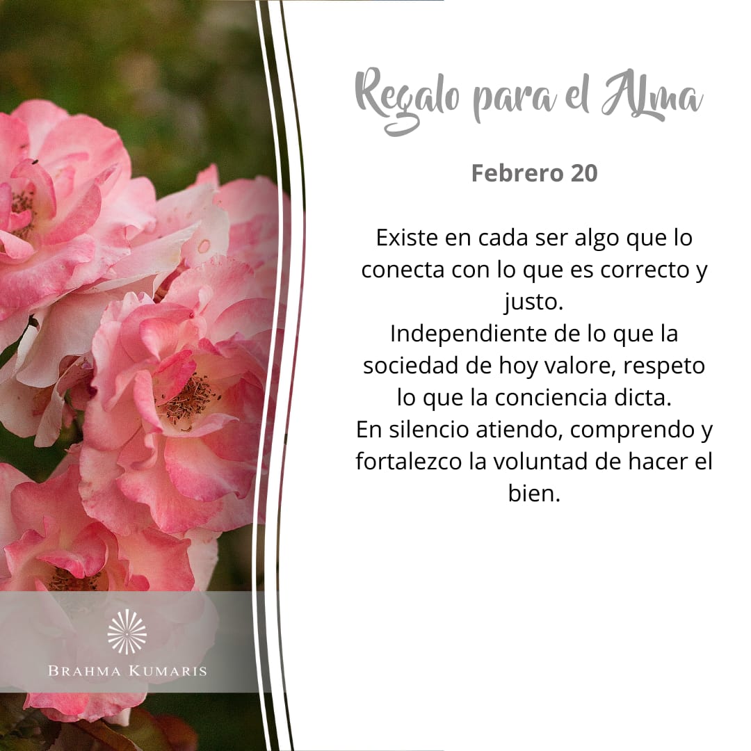 BK_Colombia's tweet image. #RegaloParaElAlma #FelizDomingo  #EsCorrecto 
#ConscienciaPlena #silencio #alma
#MeditacionRajaYoga #meditacion #BrahmaKumarisColombia #espiritualidad bkcolombia.org
