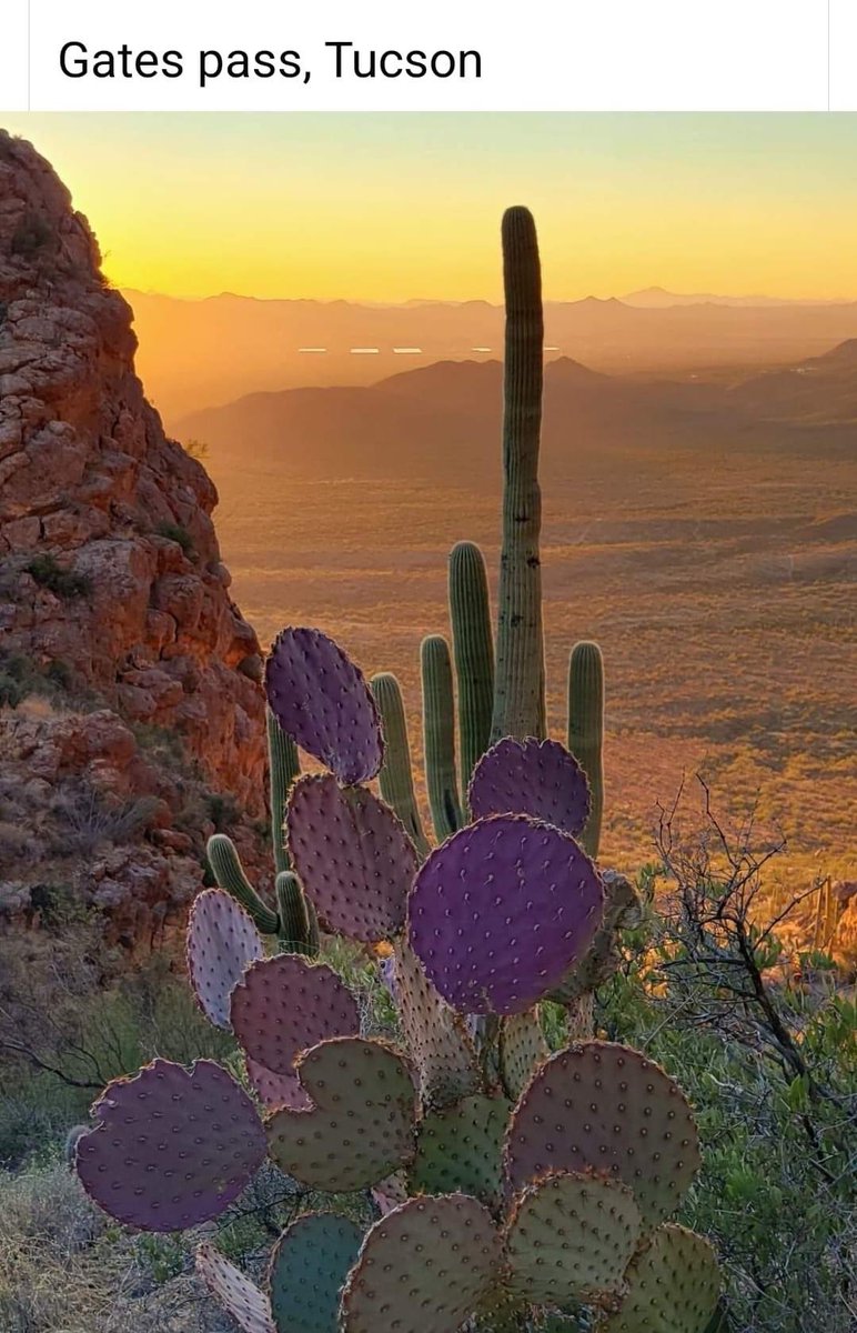 JenBenPowers's tweet photo. 12 miles away is a lovely place to watch the sun set or go for a hike.
It’s been ages since I’ve done that, though. Time to get it together!
#Tucson
#GatesPass https://t.co/aHvaW1PDwj