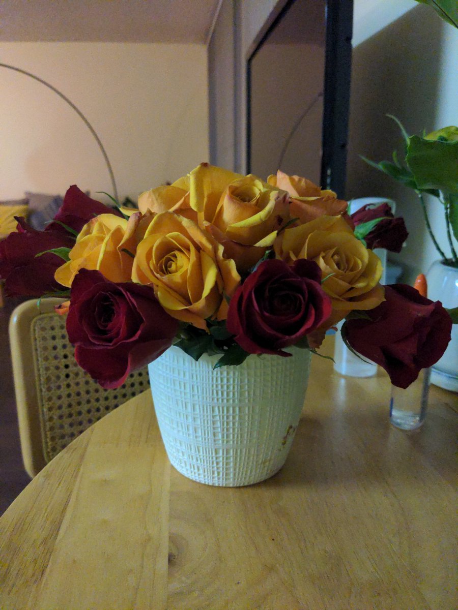 Radhika Goyal tweet media