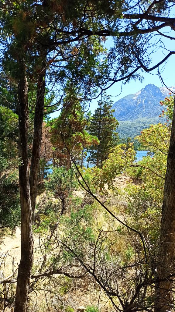 SandraRapisard's tweet photo. #Epuyen #Chibut #PatagoniaArgentina https://t.co/w7ModQttiC