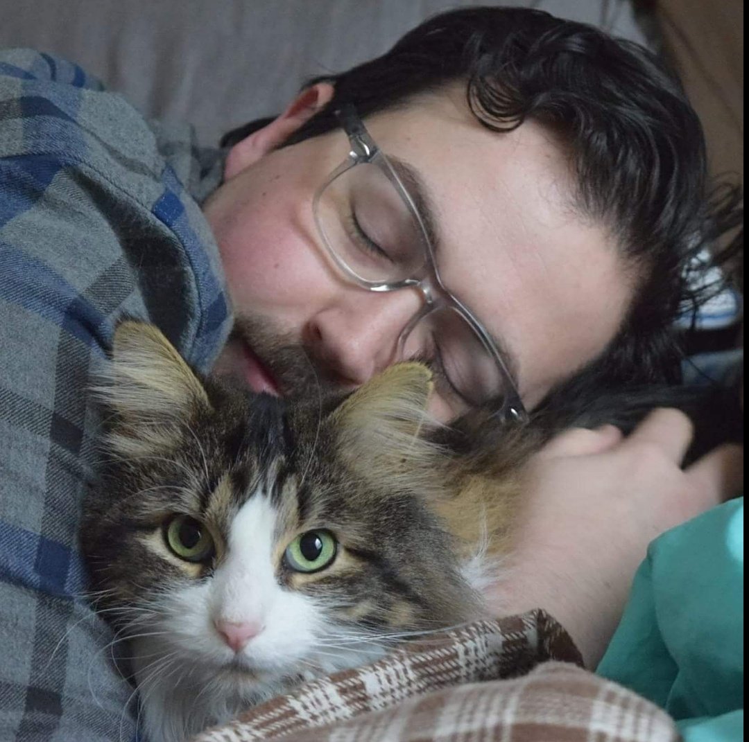 btownmoose's tweet photo. he's too cute for words #Summie https://t.co/xjRLjwZig5