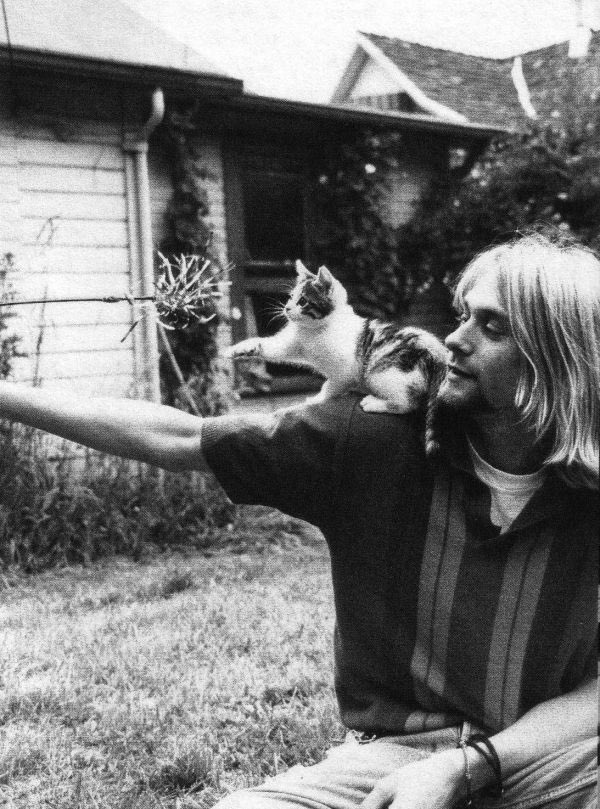 suziesatur's tweet photo. kurt cobain with his cats https://t.co/PR61KsFoHK
