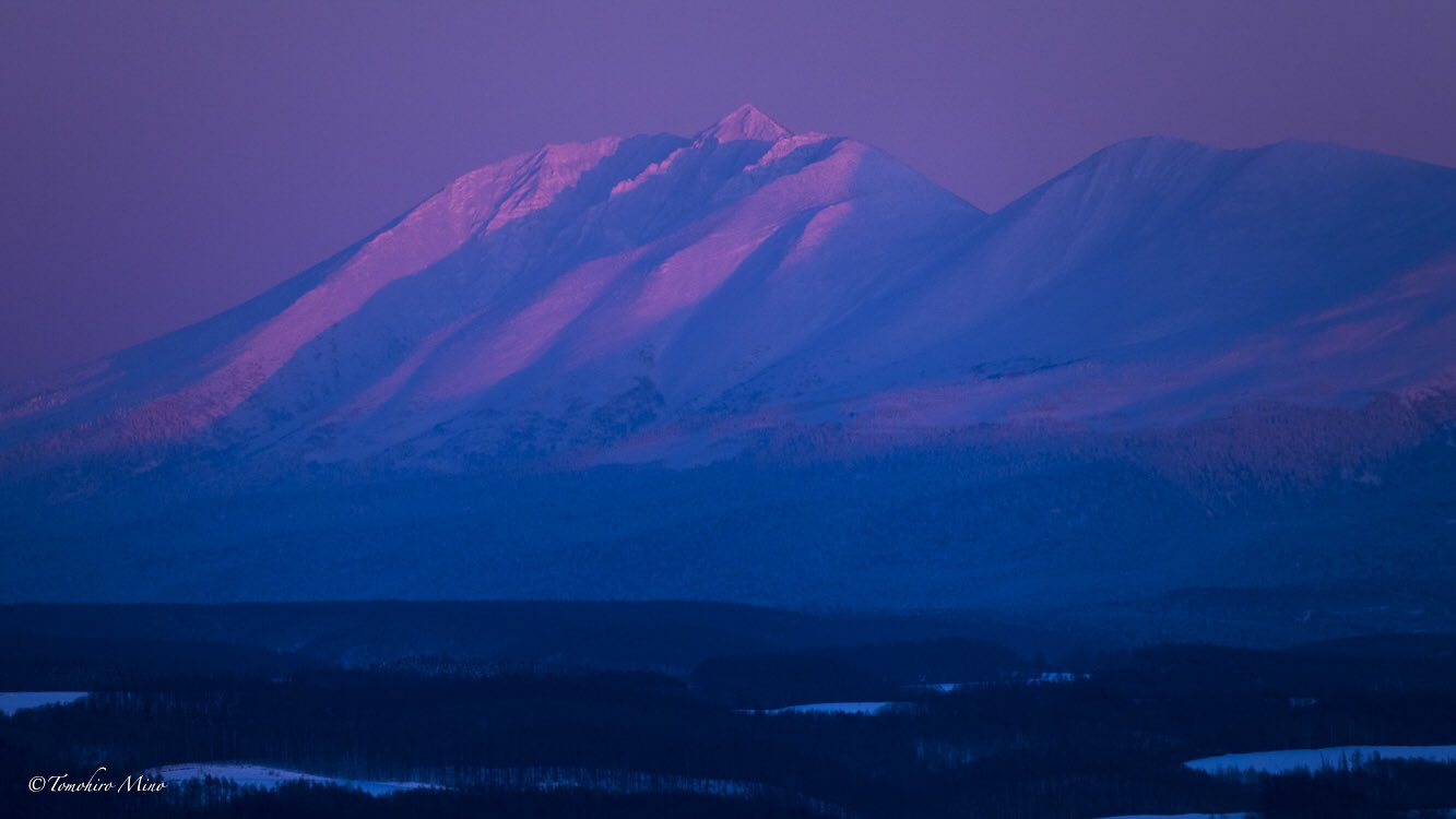 オプタテシケ山 Twitter Search Twitter