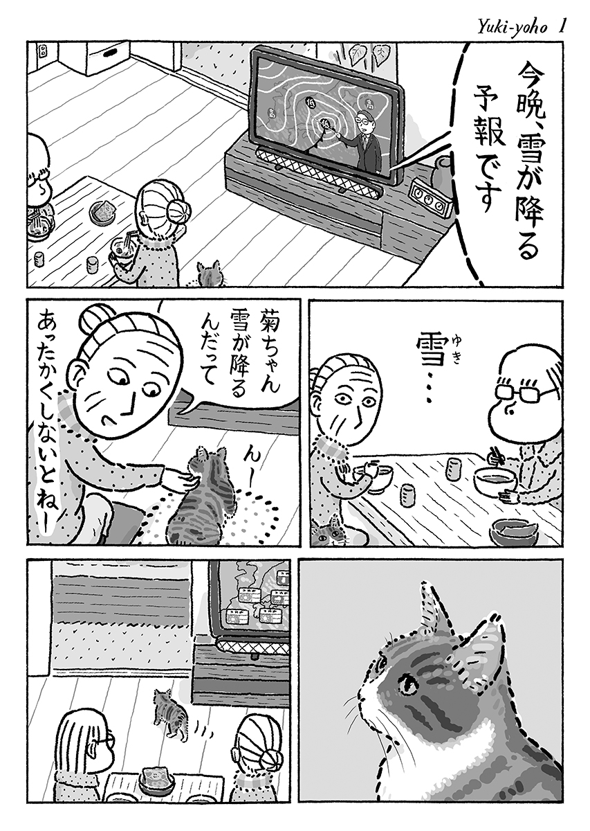 4ページ猫漫画「雪予報」 #猫の菊ちゃん 