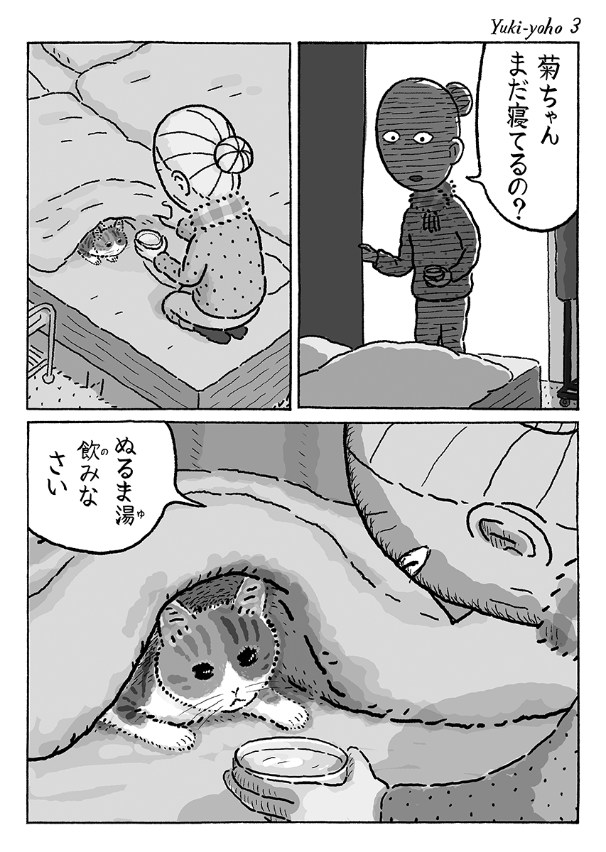 4ページ猫漫画「雪予報」 #猫の菊ちゃん 