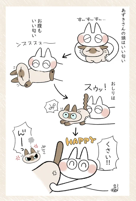 おしりを吸ってハッピーチャージキメるの猫主あるあるだと思います(ない)動物のくさいにおい生きてるって感じがして好きなんだ… #シャム猫あずきさんは世界の中心 