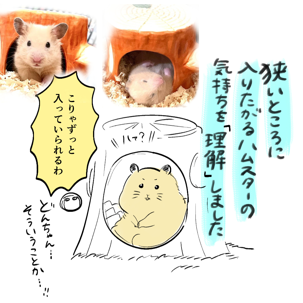 アッ おくすみ→おくるみです…あとハムスターの気持ちがわかりました。 https://t.co/St60bCi3jS 