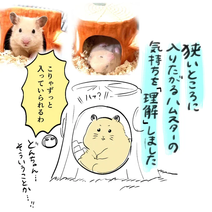 アッ おくすみ→おくるみです…あとハムスターの気持ちがわかりました。 https://t.co/St60bCi3jS 