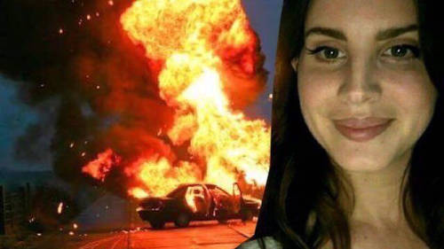 fₑᵣₐₗ ₕₒᵤₛₑwᵢfₑ ✨ tweet media