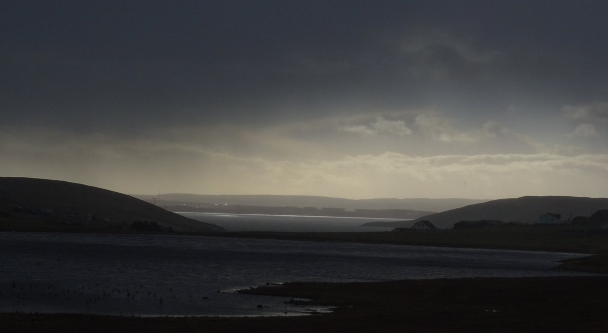 GarydocLDnurse tweet media